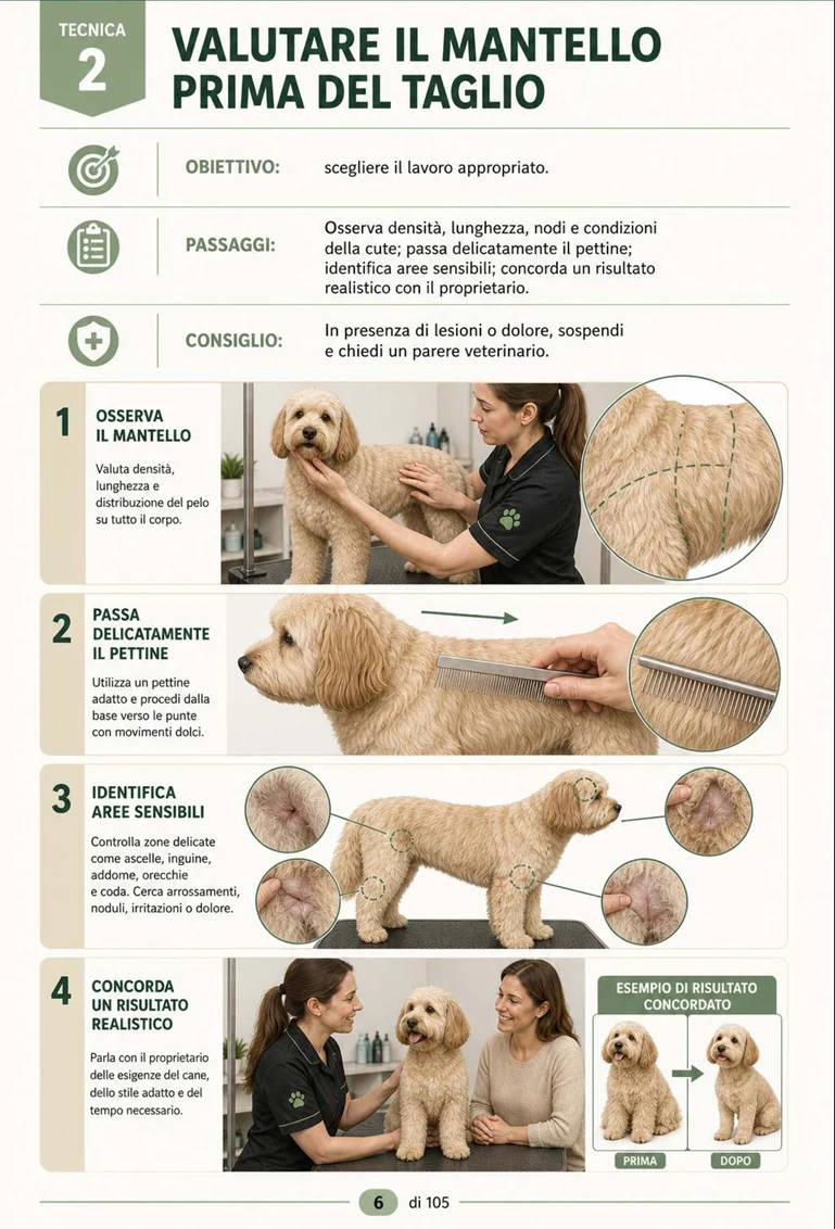 Pagina della guida di 100 tecniche di toelettatura canina 5
